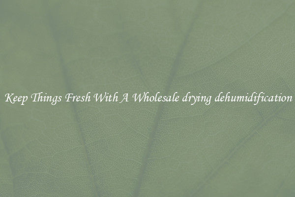 Keep Things Fresh With A Wholesale drying dehumidification