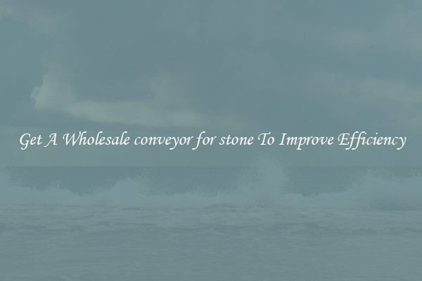 Get A Wholesale conveyor for stone To Improve Efficiency
