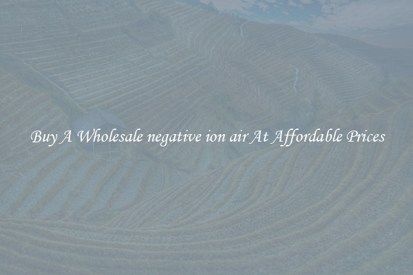 Buy A Wholesale negative ion air At Affordable Prices