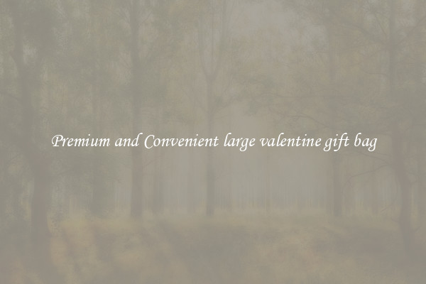 Premium and Convenient large valentine gift bag