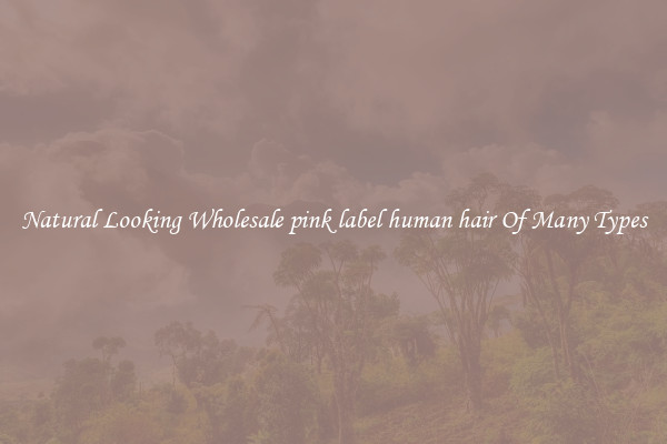 Natural Looking Wholesale pink label human hair Of Many Types
