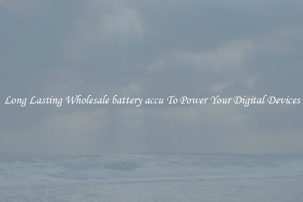 Long Lasting Wholesale battery accu To Power Your Digital Devices