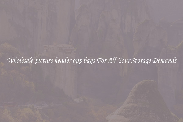 Wholesale picture header opp bags For All Your Storage Demands