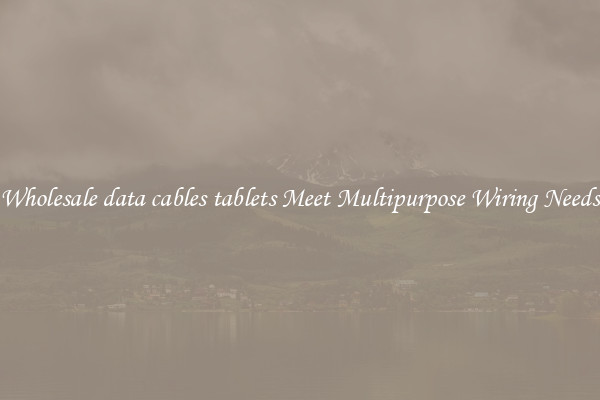 Wholesale data cables tablets Meet Multipurpose Wiring Needs