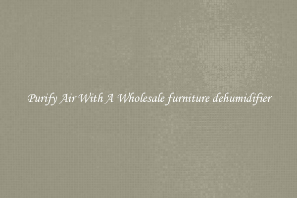 Purify Air With A Wholesale furniture dehumidifier