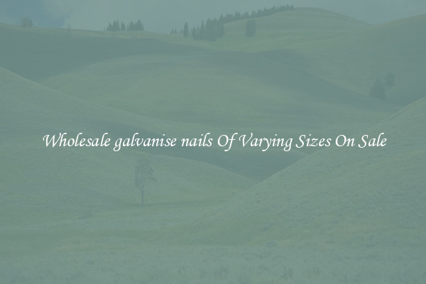 Wholesale galvanise nails Of Varying Sizes On Sale