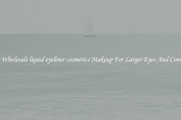 Buy Wholesale liquid eyeliner cosmetics Makeup For Larger Eyes And Contrast