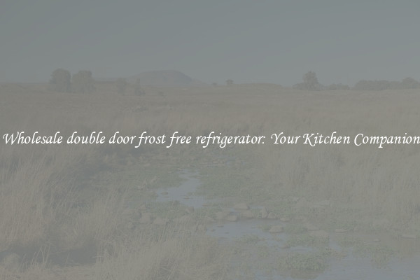 Wholesale double door frost free refrigerator: Your Kitchen Companion