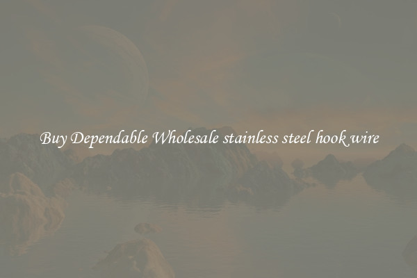 Buy Dependable Wholesale stainless steel hook wire