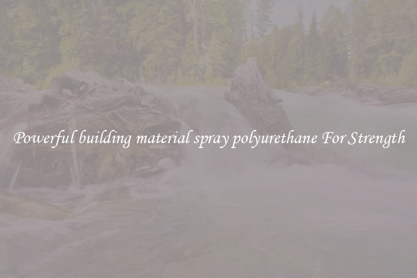 Powerful building material spray polyurethane For Strength