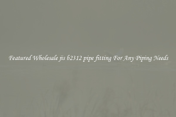 Featured Wholesale jis b2312 pipe fitting For Any Piping Needs