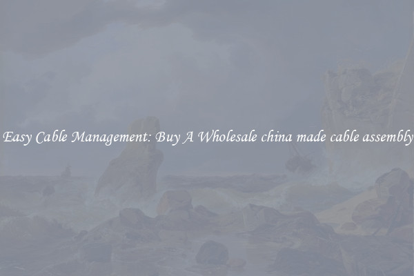 Easy Cable Management: Buy A Wholesale china made cable assembly