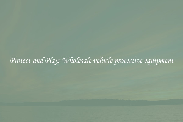 Protect and Play: Wholesale vehicle protective equipment