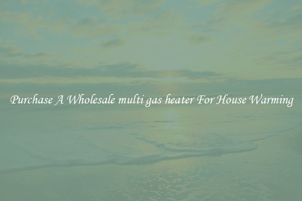 Purchase A Wholesale multi gas heater For House Warming