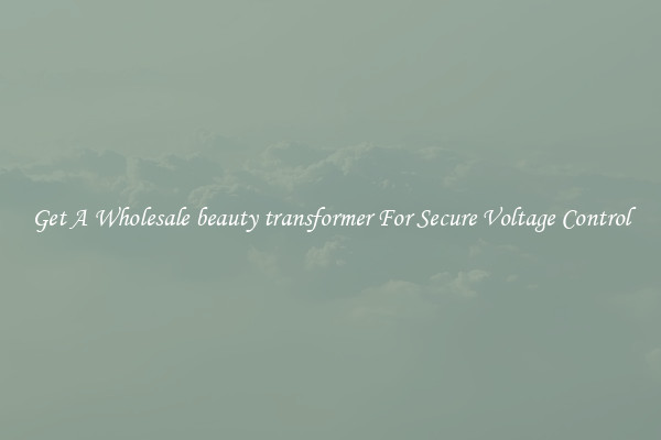 Get A Wholesale beauty transformer For Secure Voltage Control