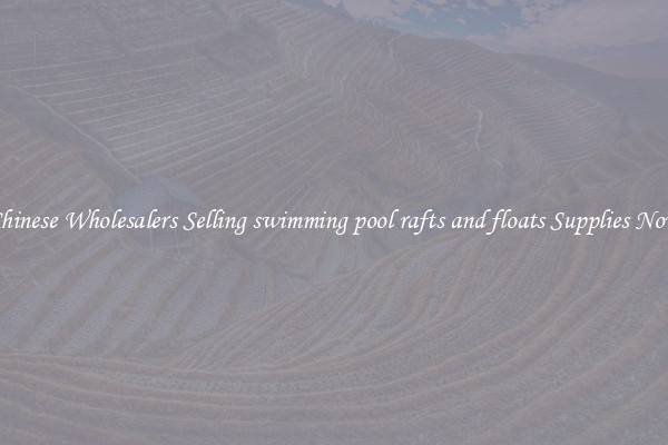 Chinese Wholesalers Selling swimming pool rafts and floats Supplies Now