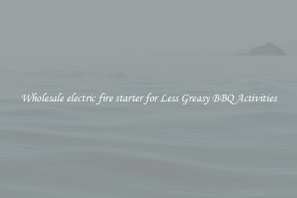 Wholesale electric fire starter for Less Greasy BBQ Activities