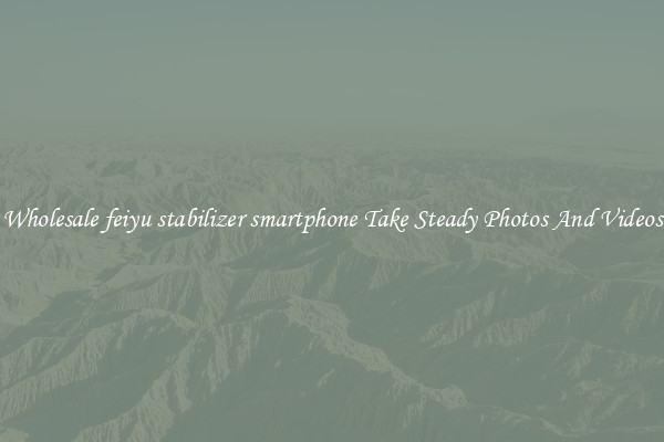 Wholesale feiyu stabilizer smartphone Take Steady Photos And Videos