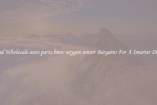 Find Wholesale auto parts bmw oxygen sensor Bargains For A Smarter Drive