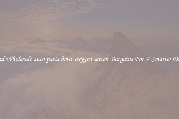 Find Wholesale auto parts bmw oxygen sensor Bargains For A Smarter Drive