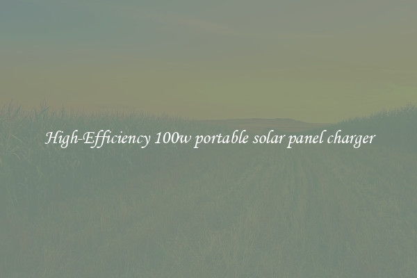 High-Efficiency 100w portable solar panel charger